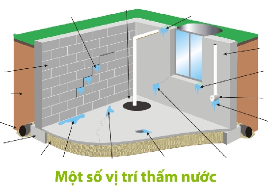 chống thấm tường nhà